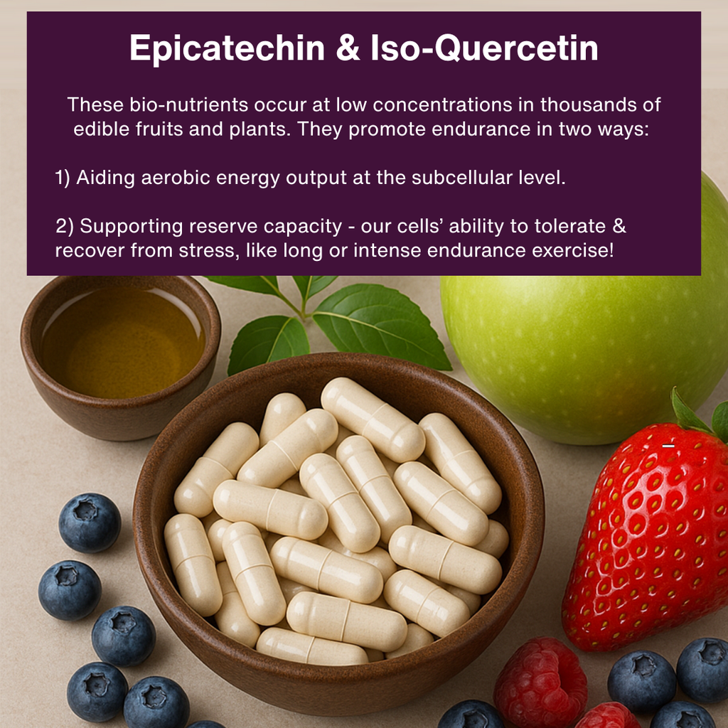 Bowl of capsules with fruits and text about epicatechin and iso-quercetin.