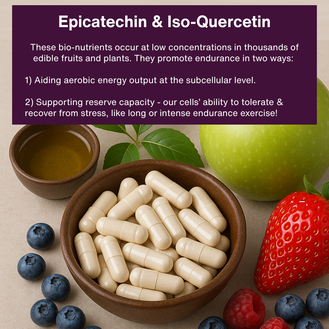 Bowl of capsules with fruits and text about epicatechin and iso-quercetin.