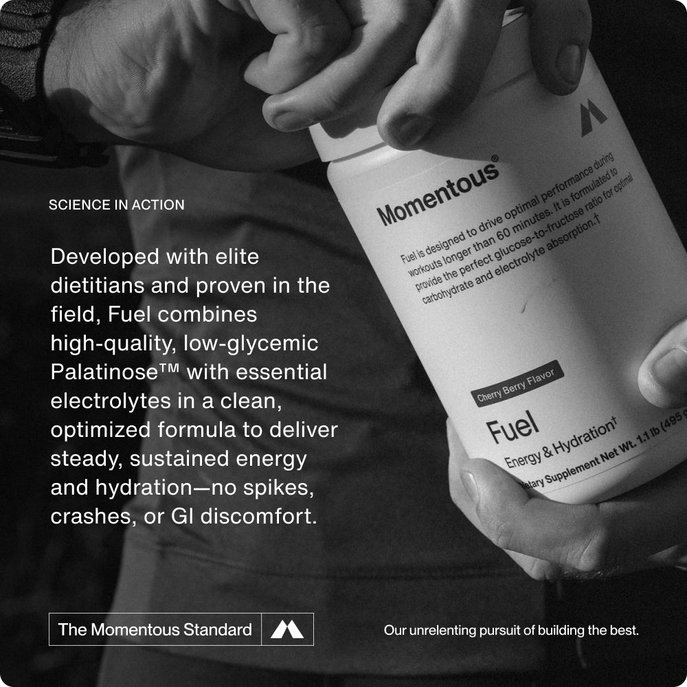 Momentous Fuel (travel packs)