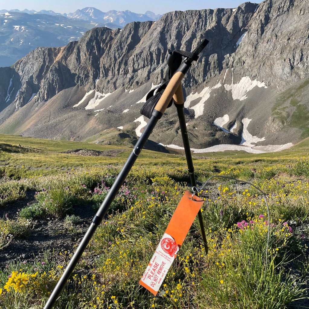 Type 2 Gear Carbon Fiber Poles