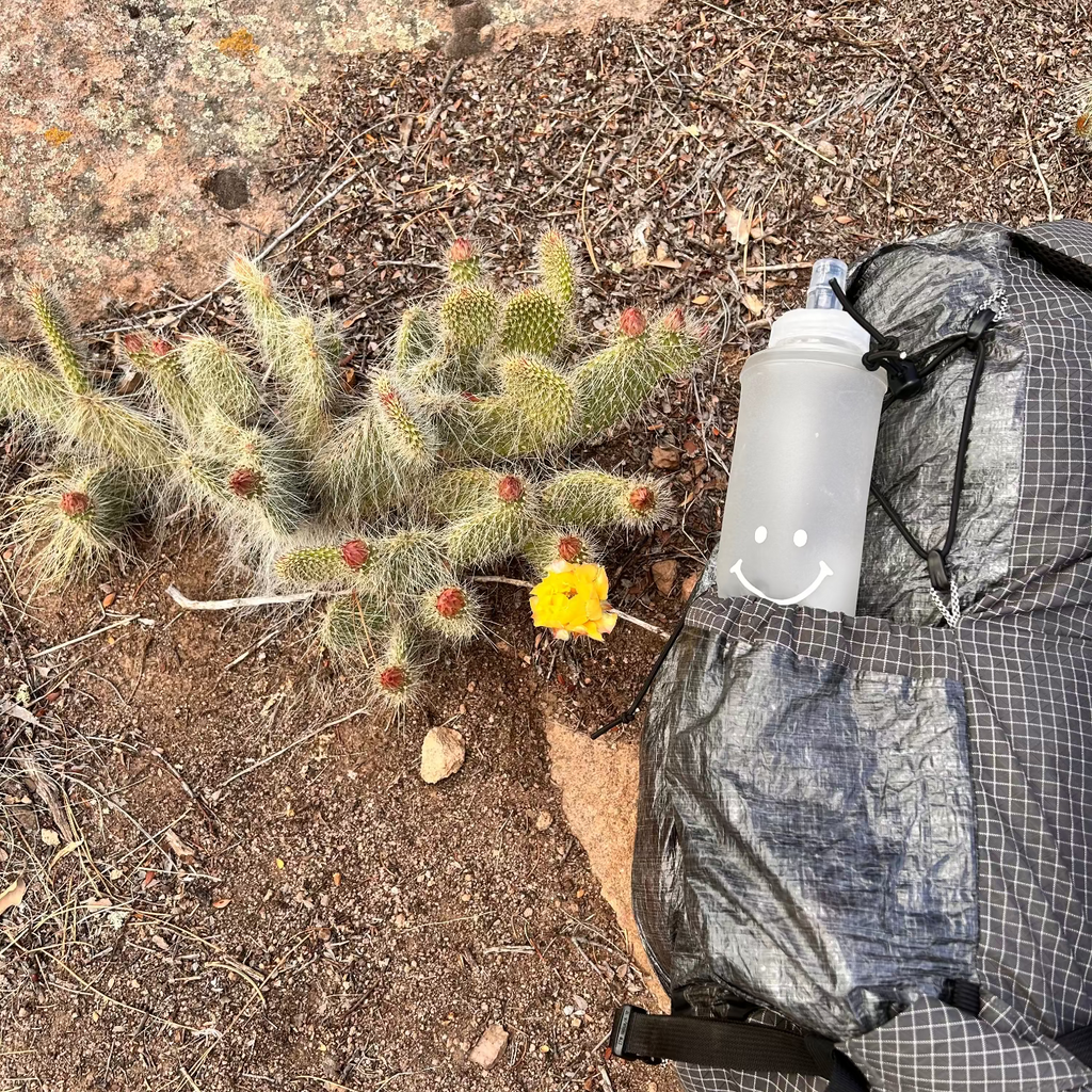 Type2Gear 750mL Soft Flask