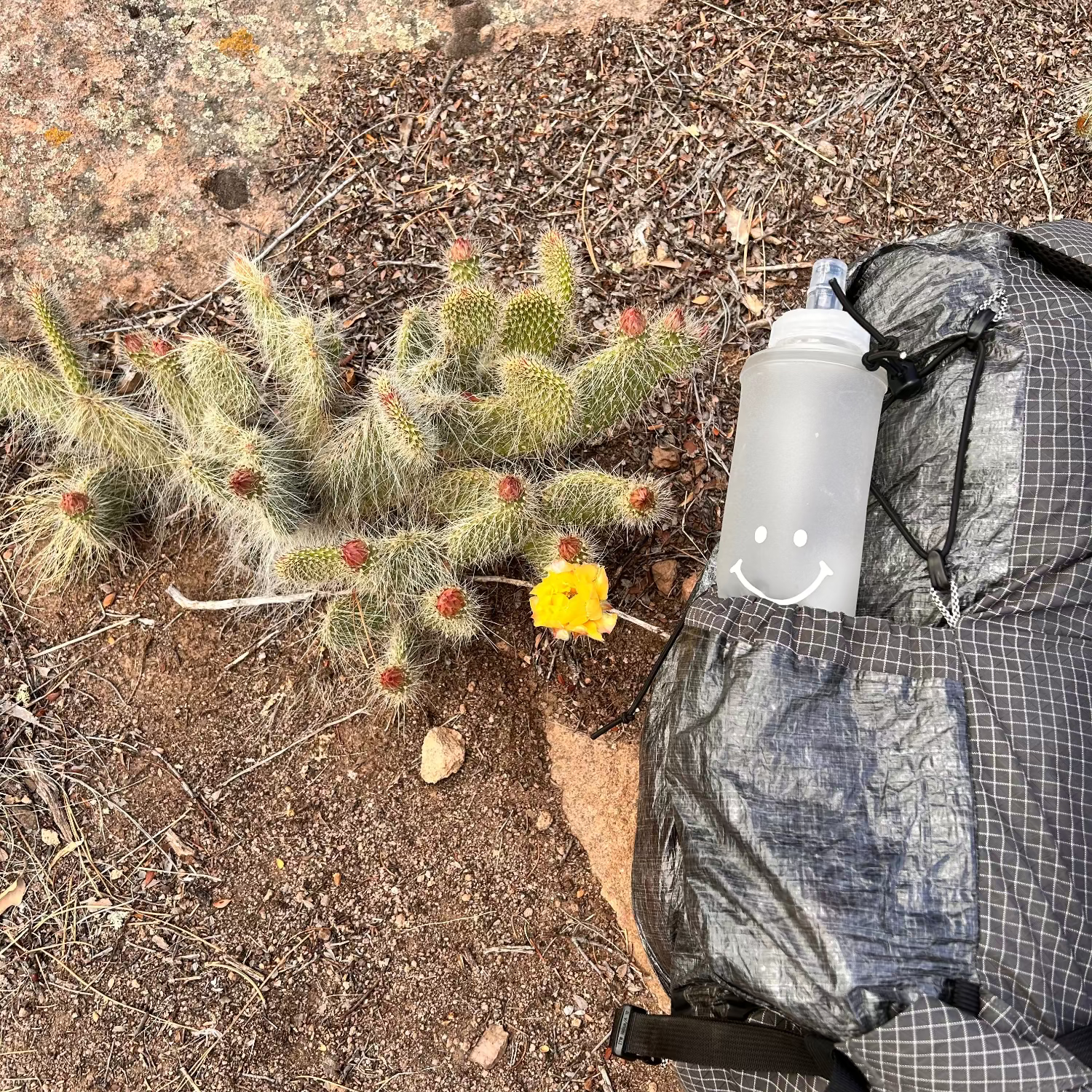 Type2Gear 750mL Soft Flask
