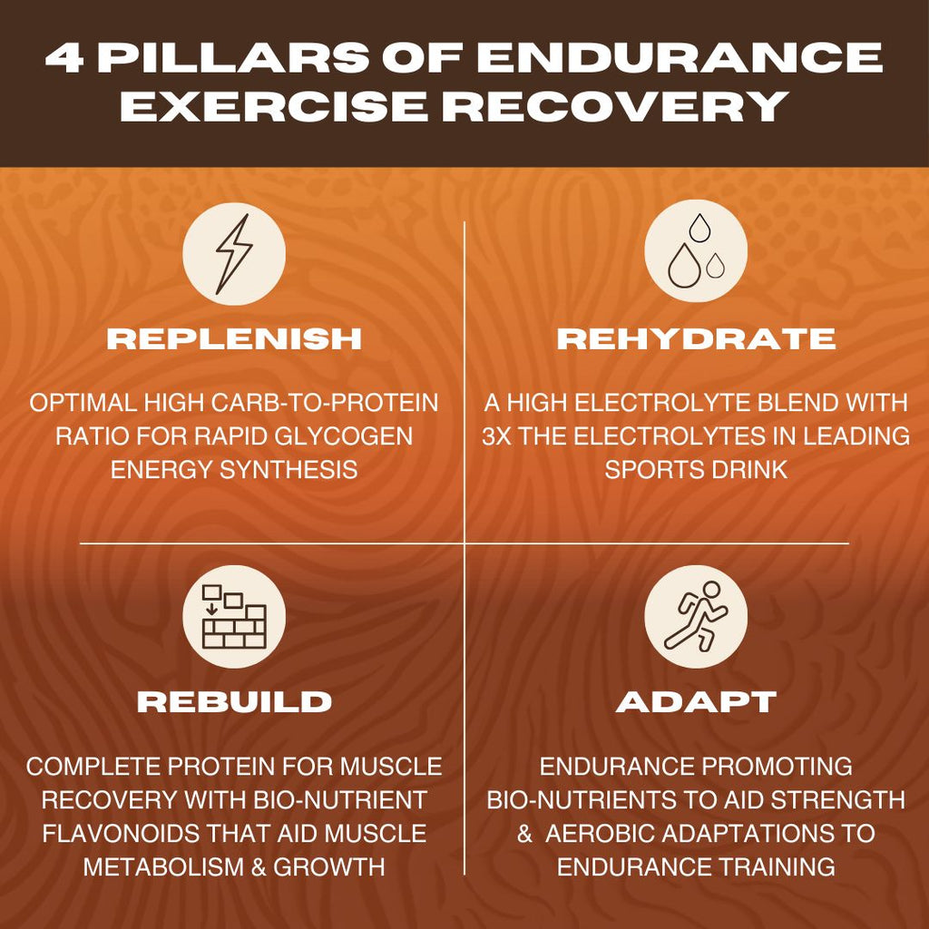 Recover Drink (Chocolate Shake) - Bag