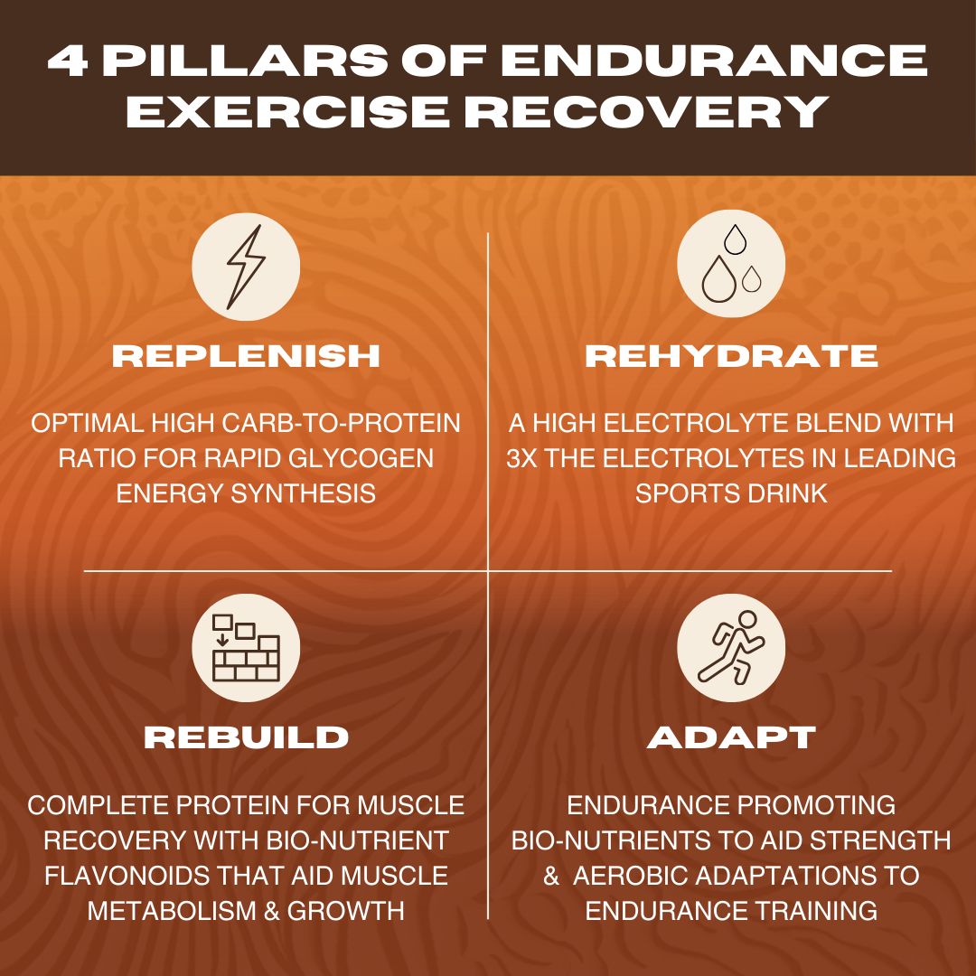 Recover Drink (Chocolate Shake) - Bag